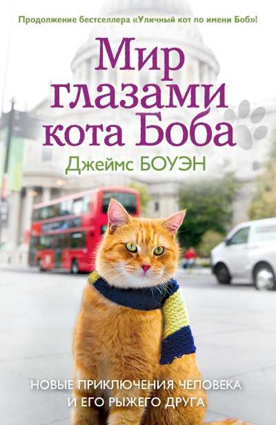 Боуэн Джеймс – Мир глазами кота Боба